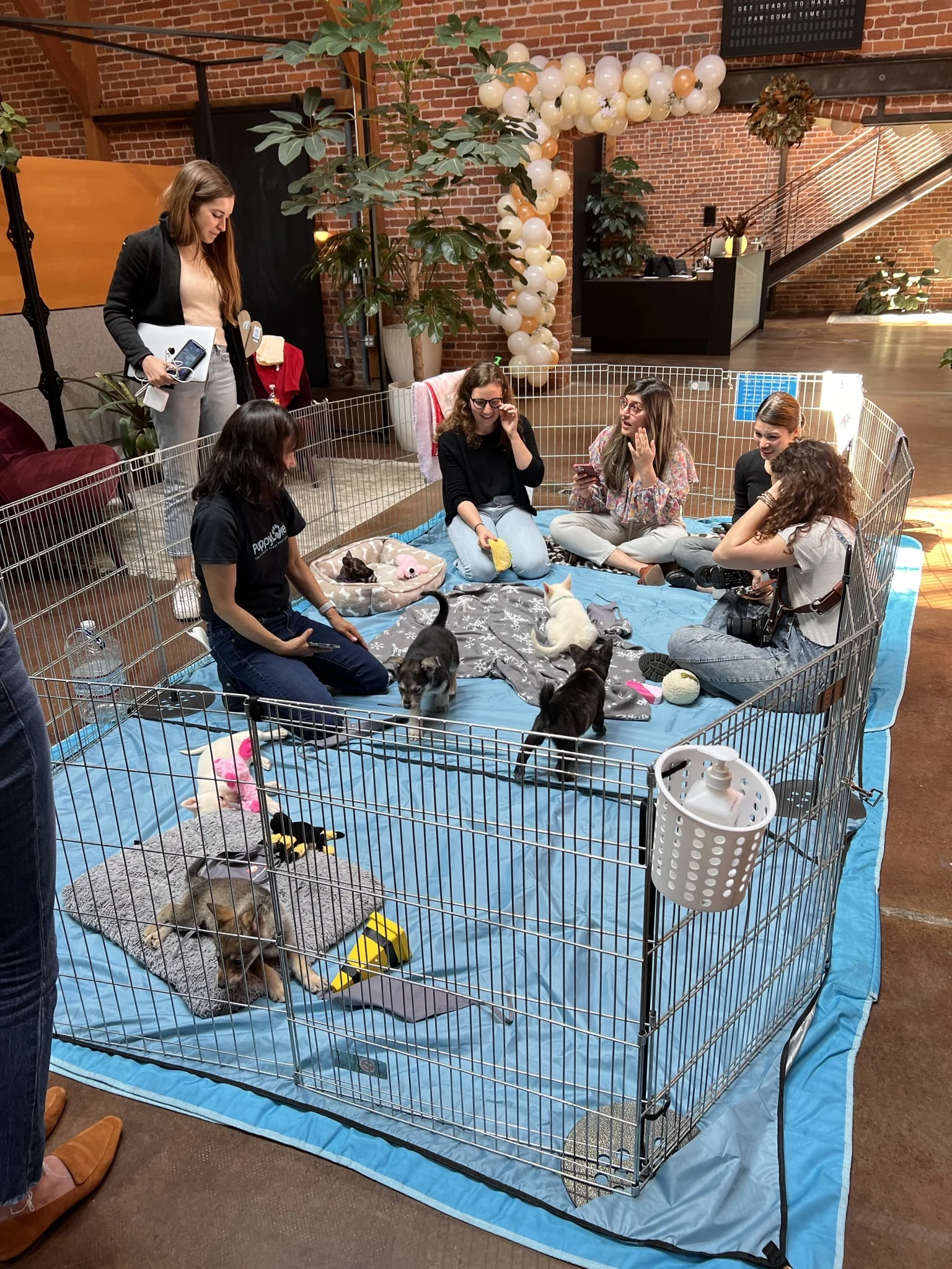 Puppy power and appreciation: why your team needs more than a pat on the back 6