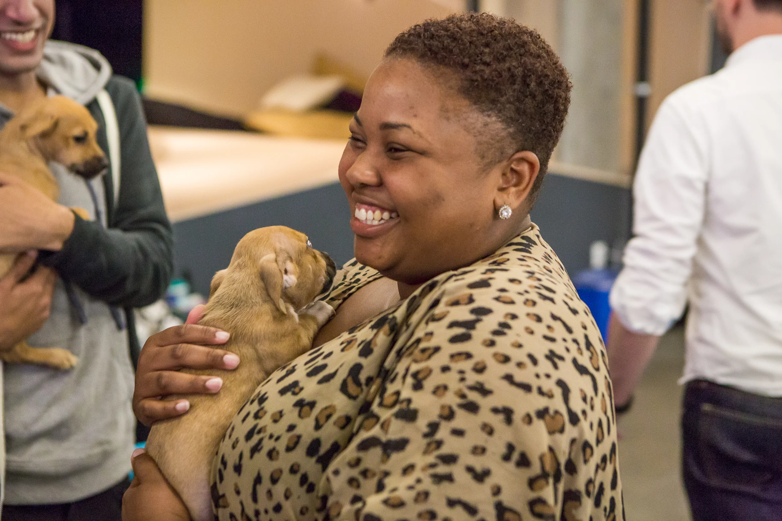 Puppy power and appreciation: why your team needs more than a pat on the back 1