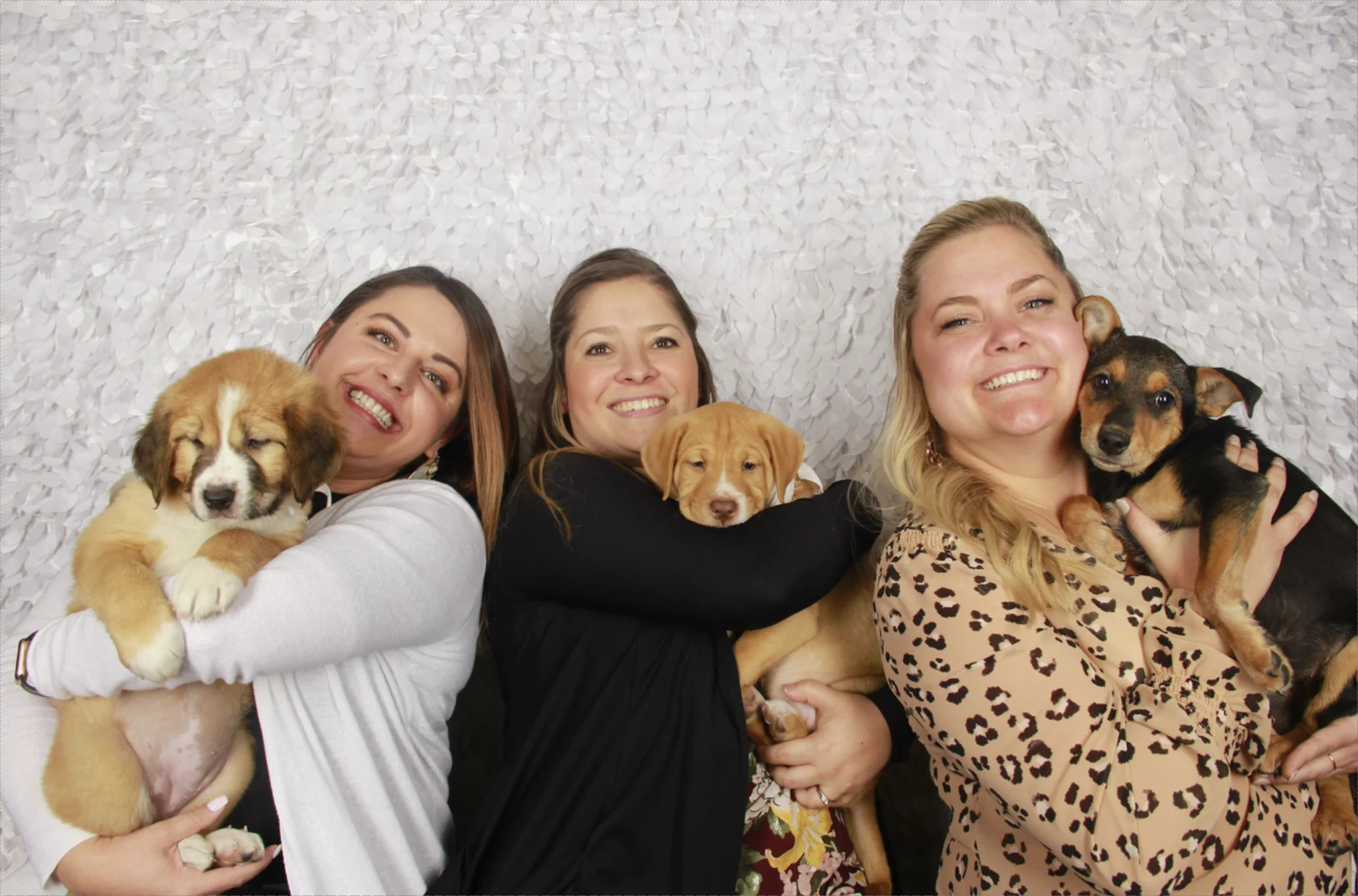 Https---gallery-picturemecamping-com-commvaultpuppies--pid-3370631580-id-297-h-mja4odmxntewmq 3-13-2020 5-56-34 pm