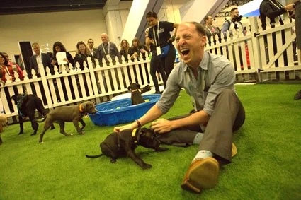 Puppy power and appreciation: why your team needs more than a pat on the back 4