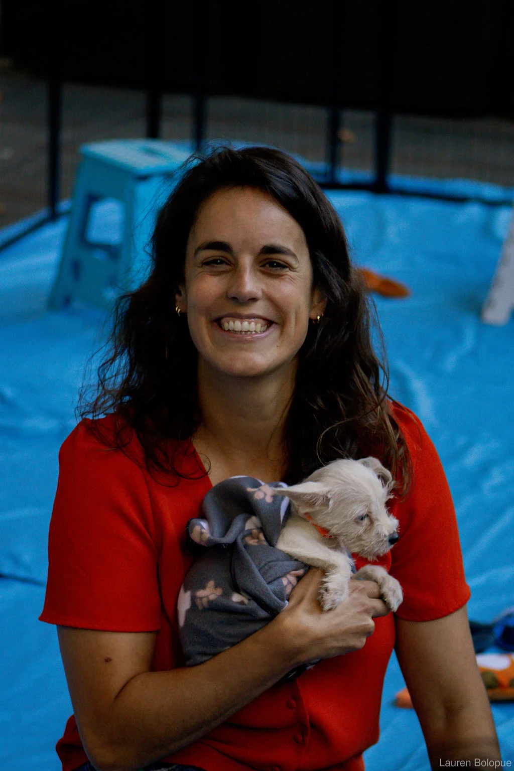 Holiday paw-ty how-to: making your end-of-year bash unforgettable with puppies 1