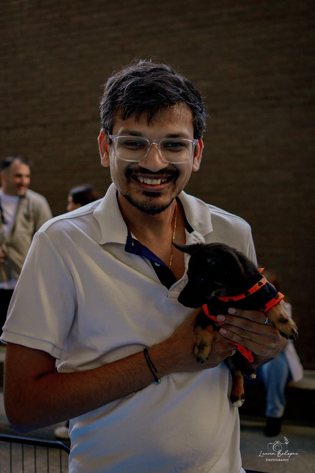 Holiday paw-ty how-to: making your end-of-year bash unforgettable with puppies 3