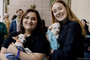 What puppies can teach us about office life 3