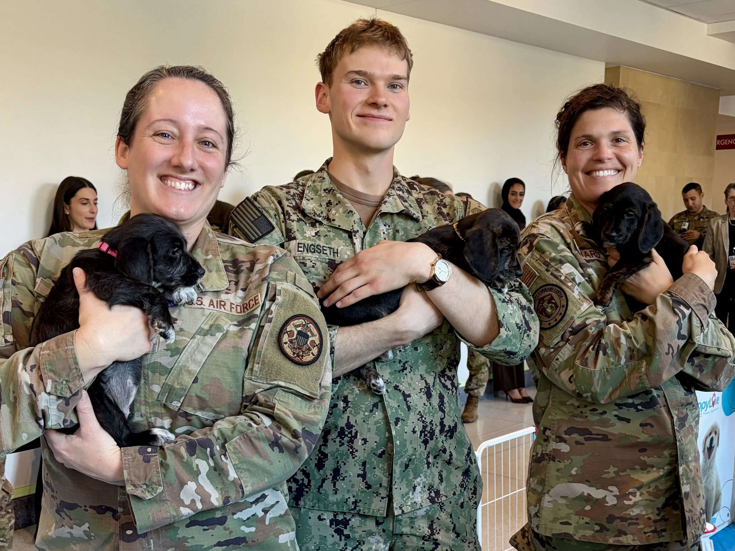 Three smiling US military service members standing side-by-side indoors in camouflage uniforms while each holding a small dark puppy.