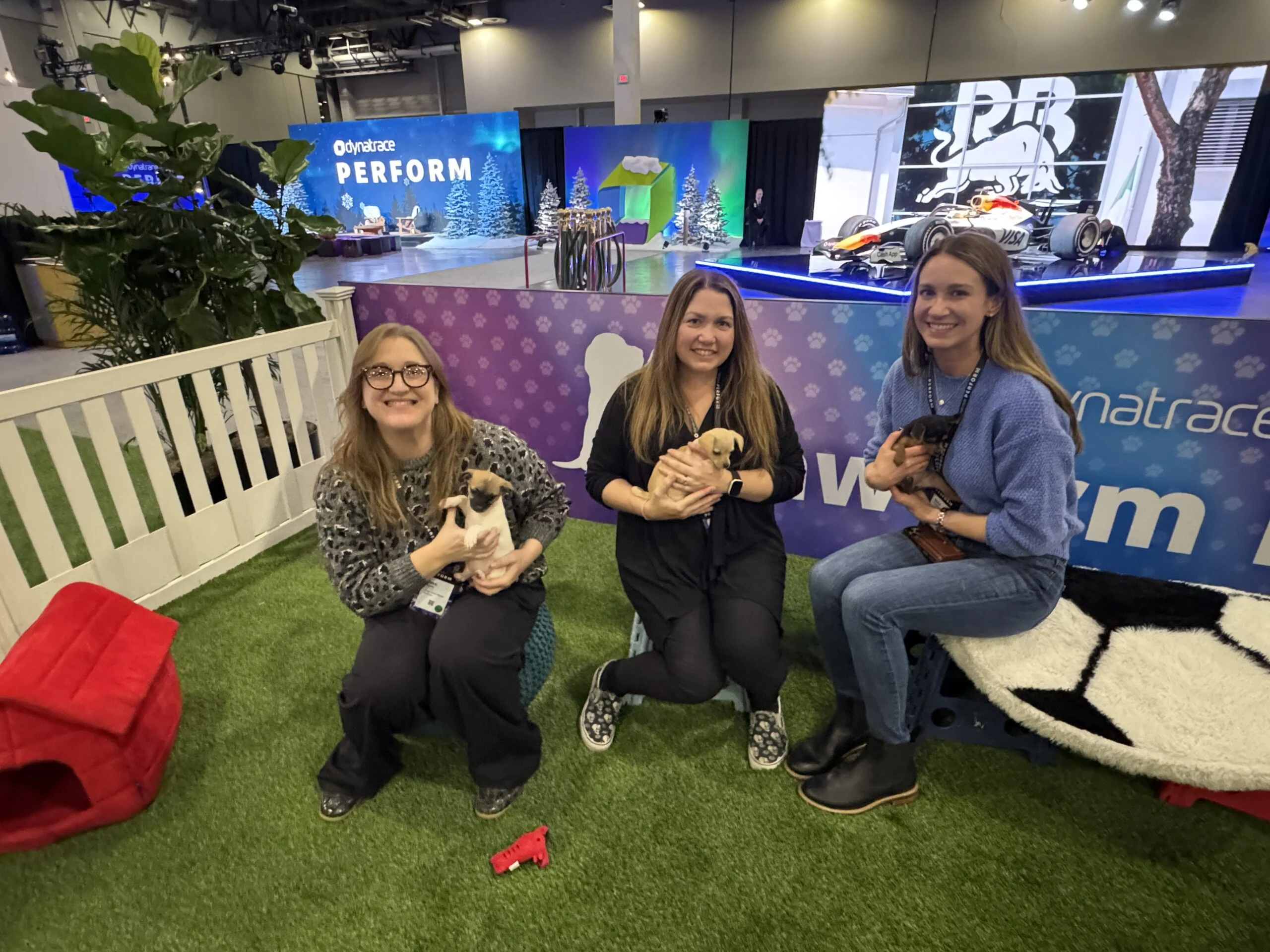 Three women sitting in an event play area with artificial turf, each holding a small puppy in her lap.