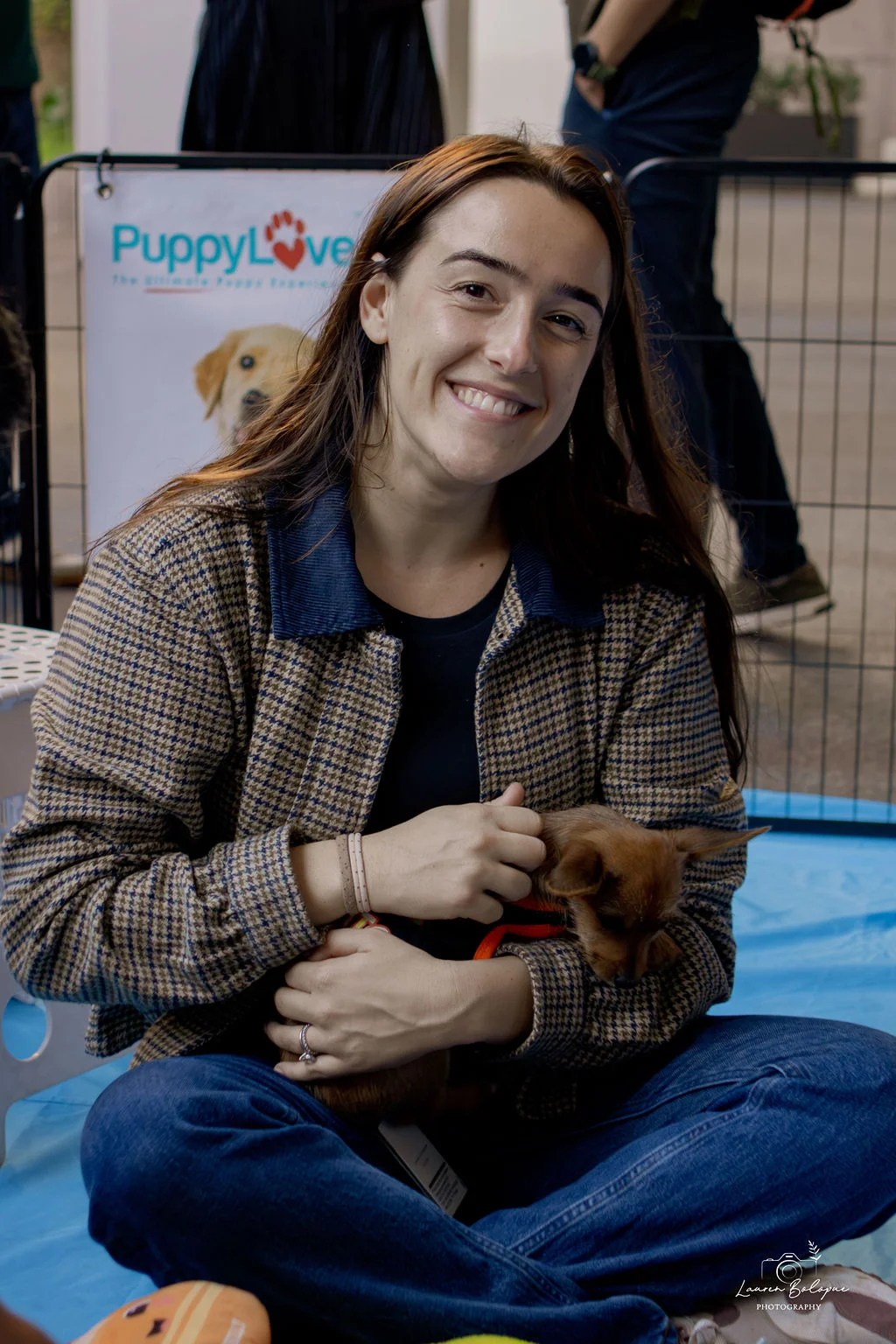 What if a puppy was the office manager? 1