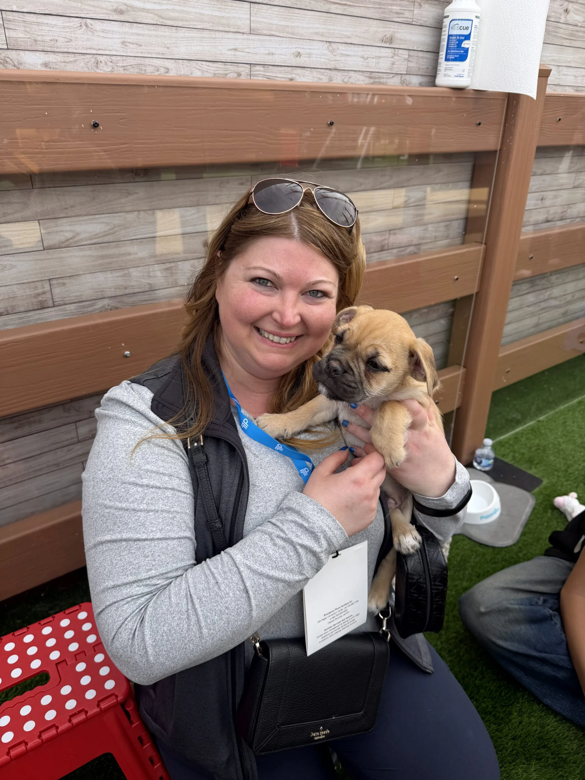 Smiling woman wearing sunglasses on her head holding a small brown puppy outdoors