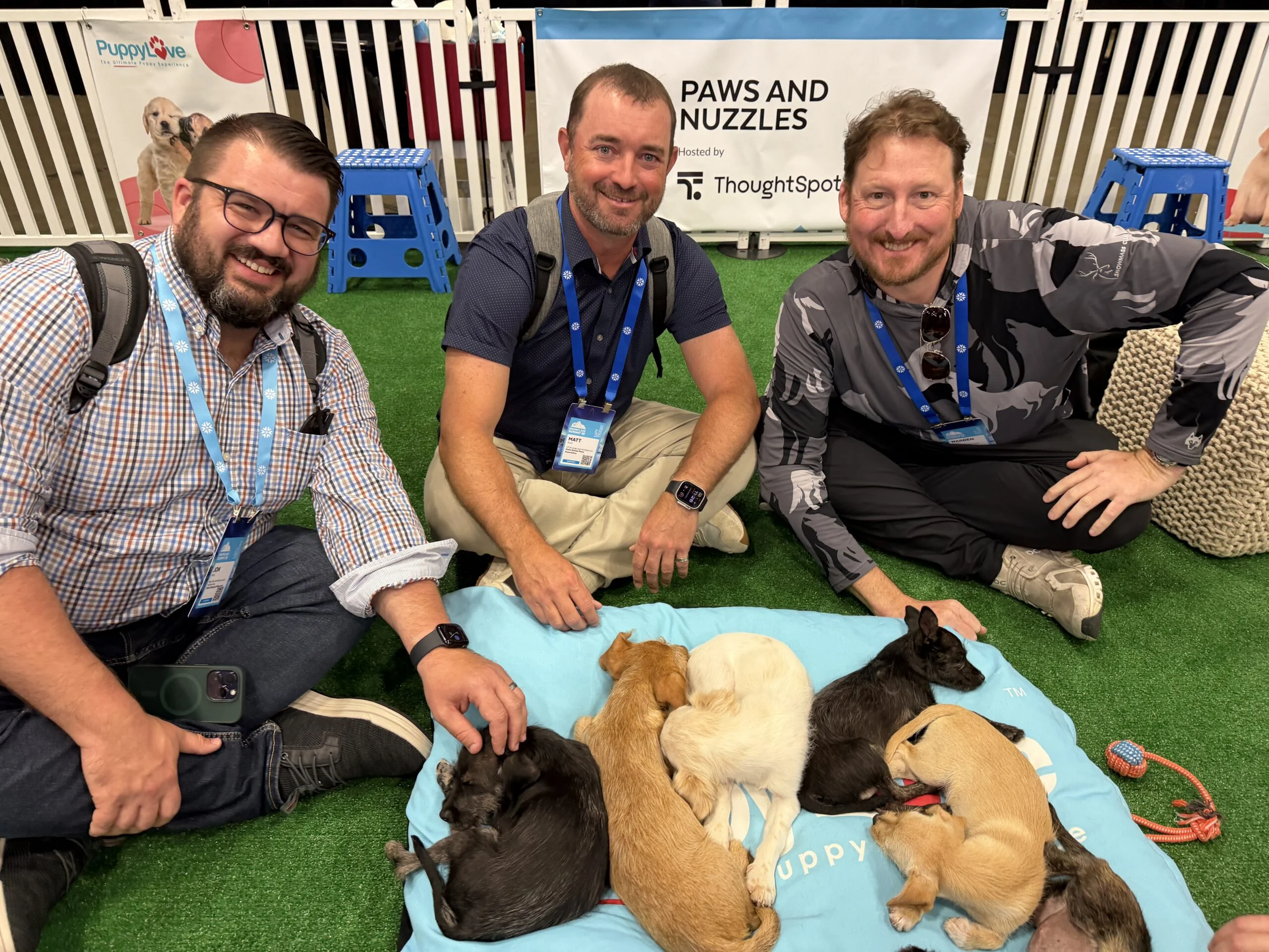 Three smiling men sit cross-legged on green artificial turf around a light blue dog bed filled with several sleeping puppies of various colors and breeds.