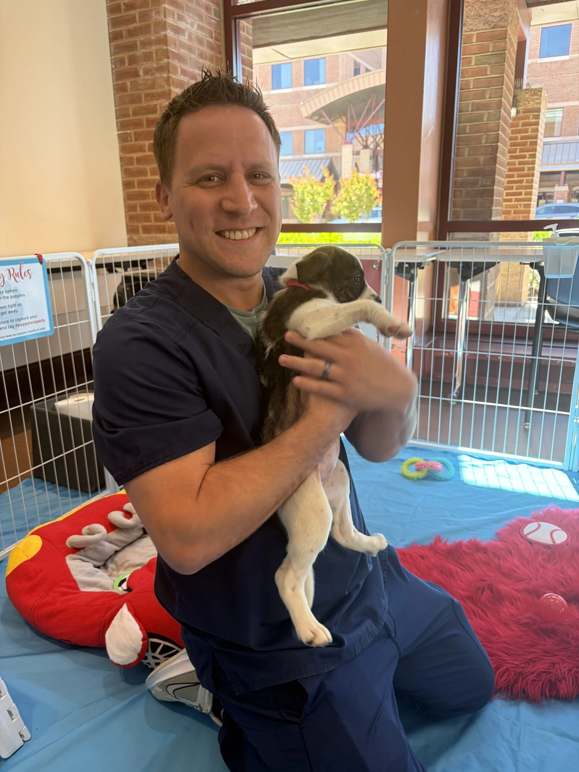 A smiling man in dark blue medical scrubs holding a small brown and white puppy while standing inside a playpen area.