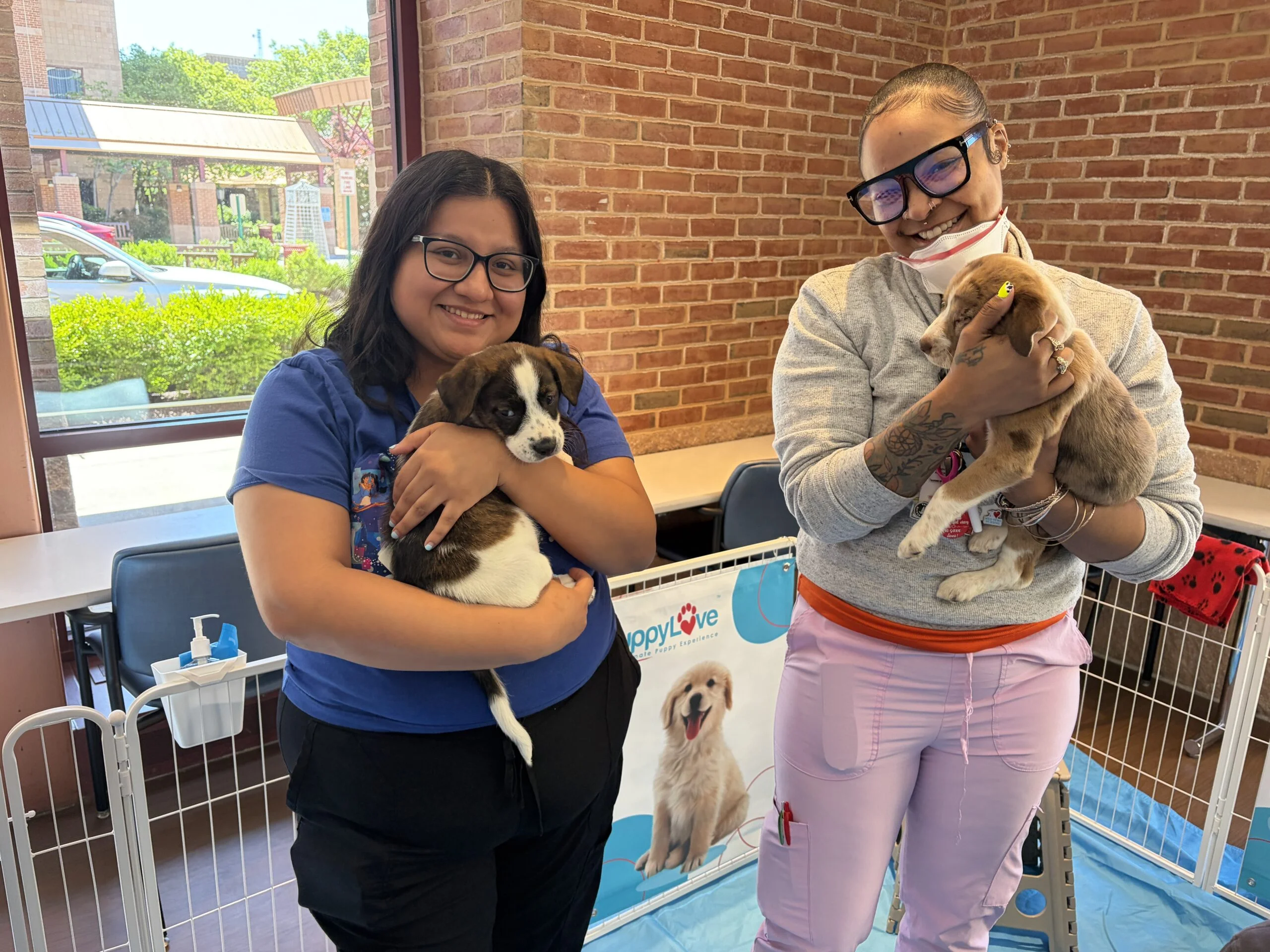 Two smiling women standing side by side near a playpen, each holding a puppy.