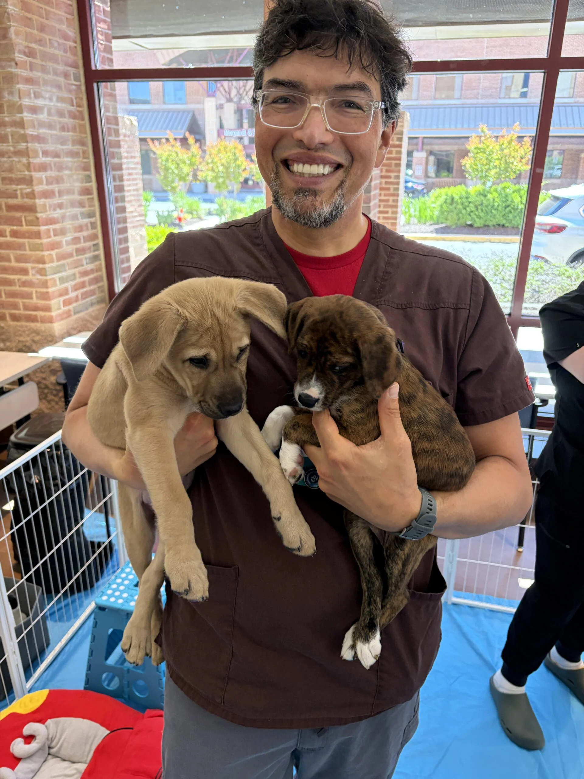 A smiling man with glasses wearing maroon scrubs holding a light brown puppy in his right hand and a brown puppy in his left hand.