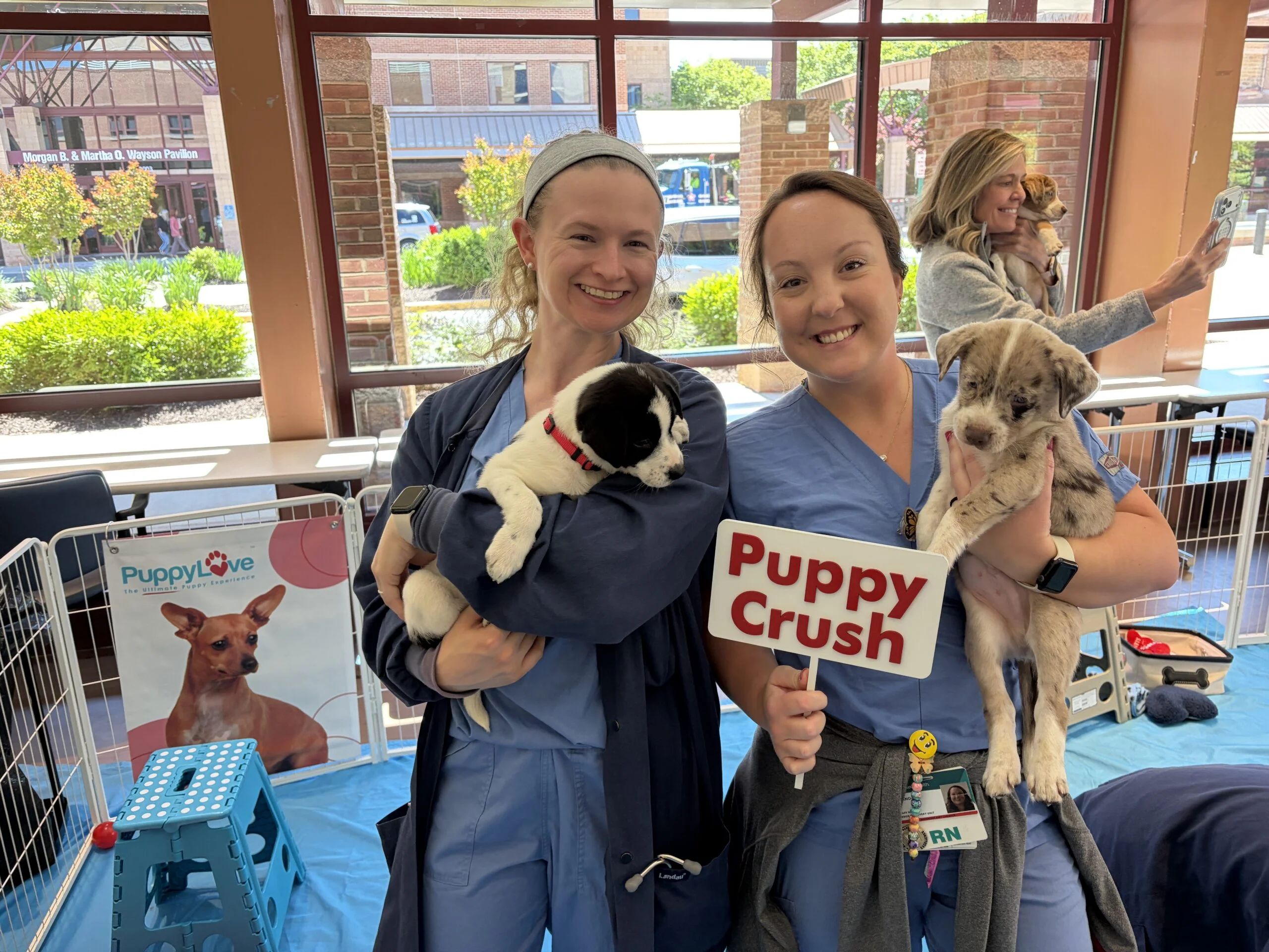 Two smiling nurses in blue scrubs holding puppies inside a playpen area, with one nurse holding a "puppy crush" prop sign.