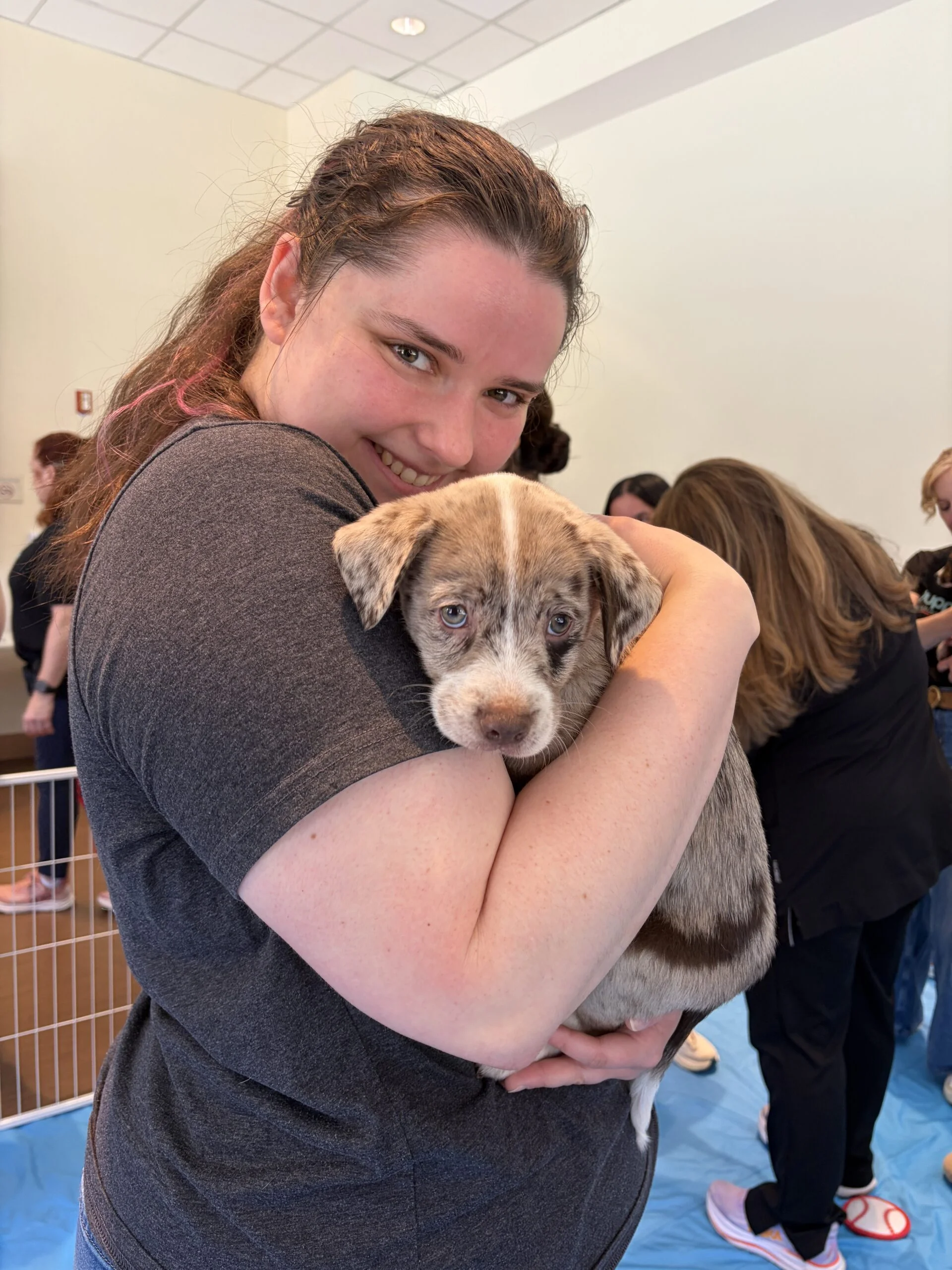 Woman in a grey shirt hugging a speckled, brown and white puppy at luminis health aamc.