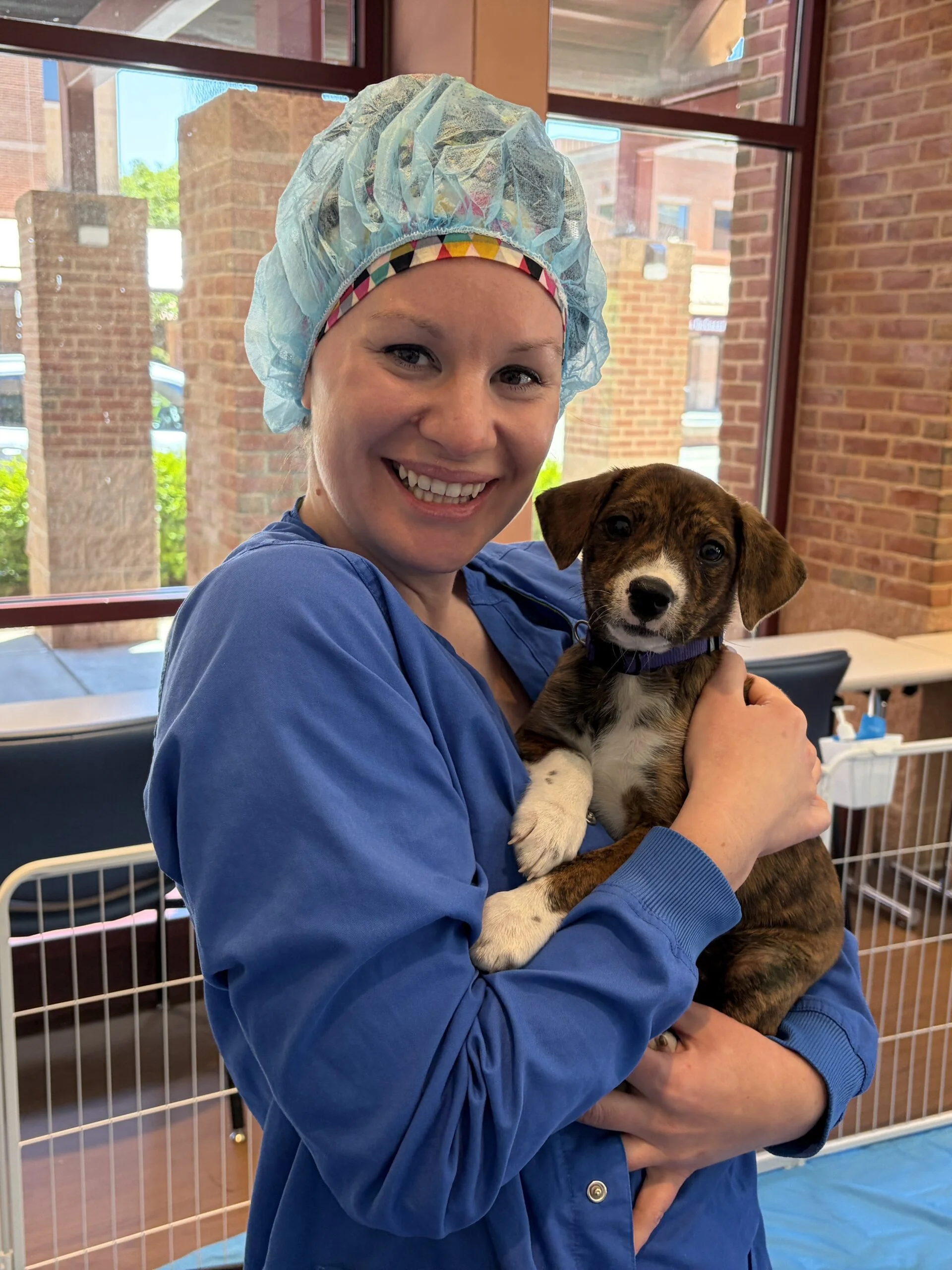 Healthcare worker wearing a patterned surgical cap and blue scrubs smiling while holding a brown and white puppy at luminis health aamc.