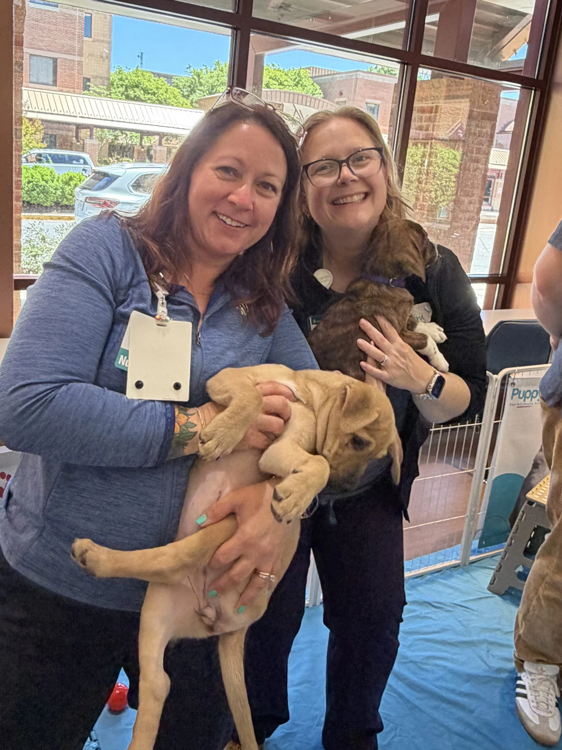 Two women smiling indoors while holding puppies at luminis health aamc.