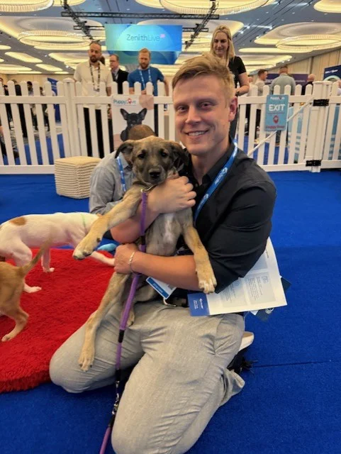 A smiling blonde man in a dark short-sleeve shirt and grey trousers kneeling on a blue carpet while cradling a small brindle puppy on a purple leash.