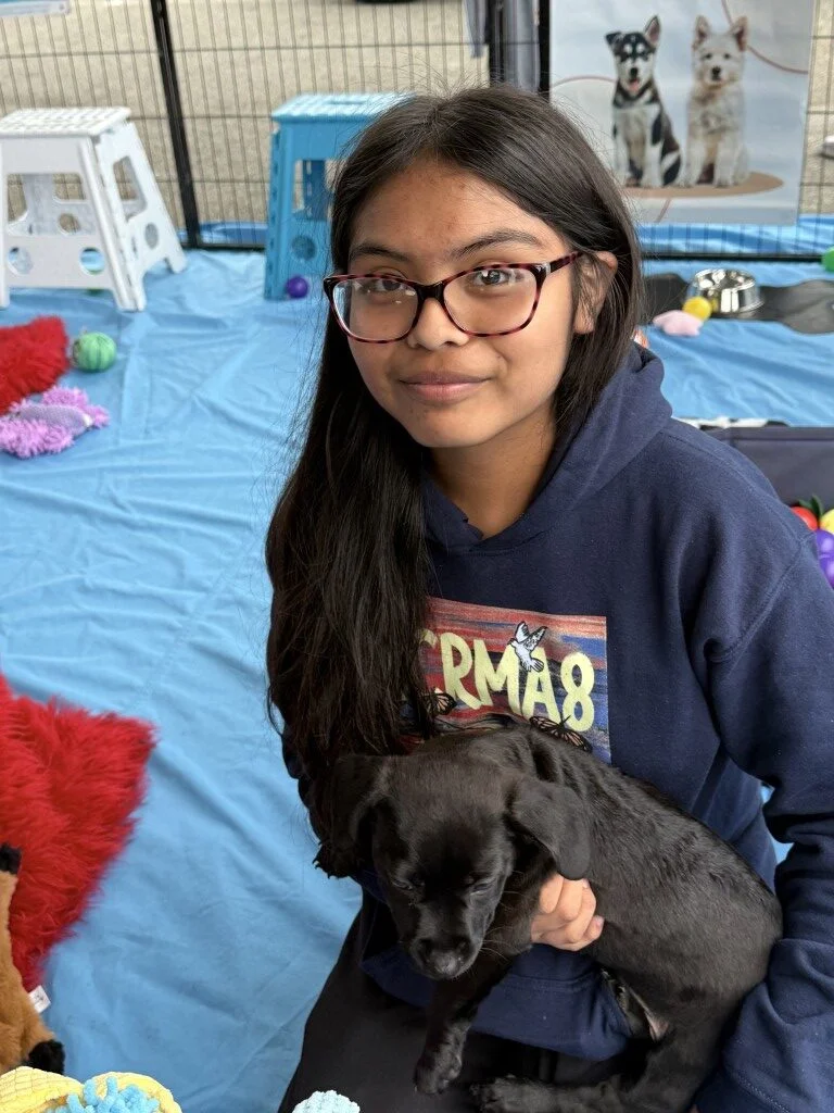Young woman wearing glasses and a dark hoodie sitting on a blue mat while holding a small black puppy in a playpen.