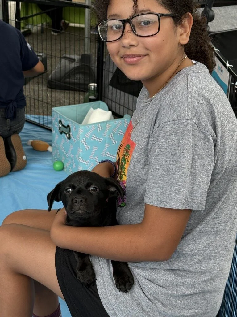 Young woman wearing glasses and a grey t-shirt sitting in a playpen holding a small black puppy in her lap.