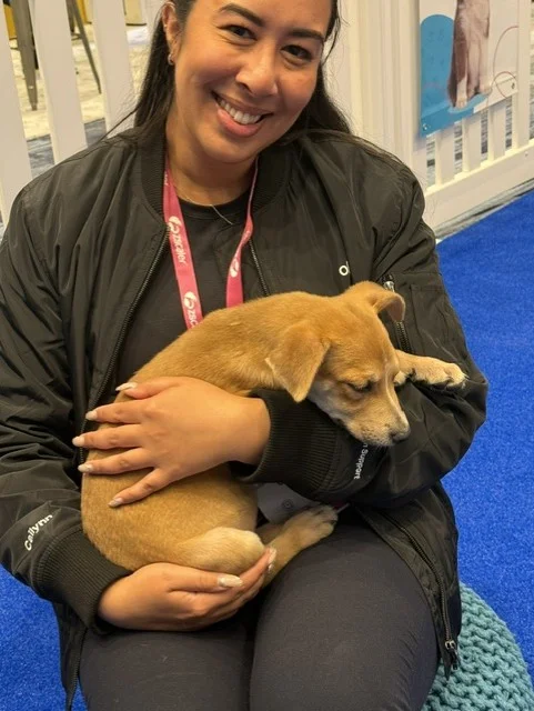 A smiling woman with long dark hair, wearing a black bomber jacket with a pink zscaler lanyard, cradles a sleeping tan puppy in her arms.