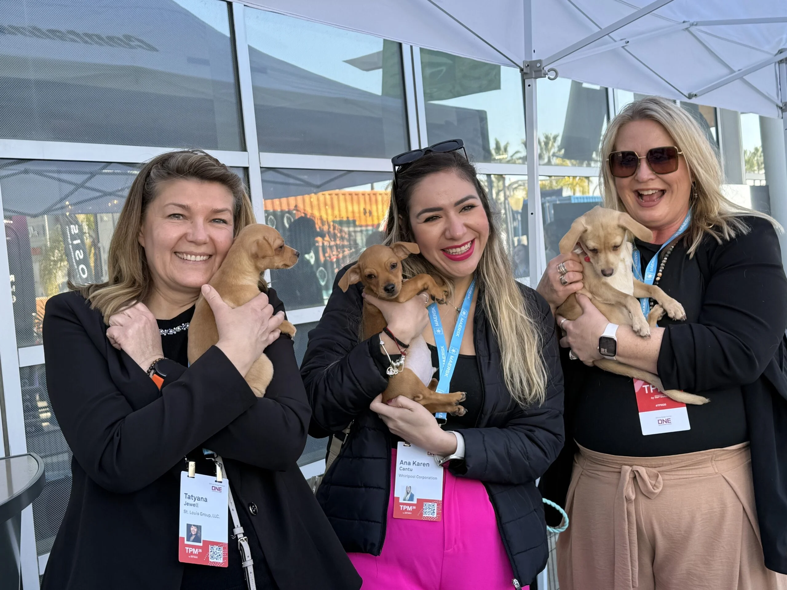 Corporate Experiential Wellness Market And The Puppy Love Difference 1 Corporate experiential wellness market and the puppy love difference 1
