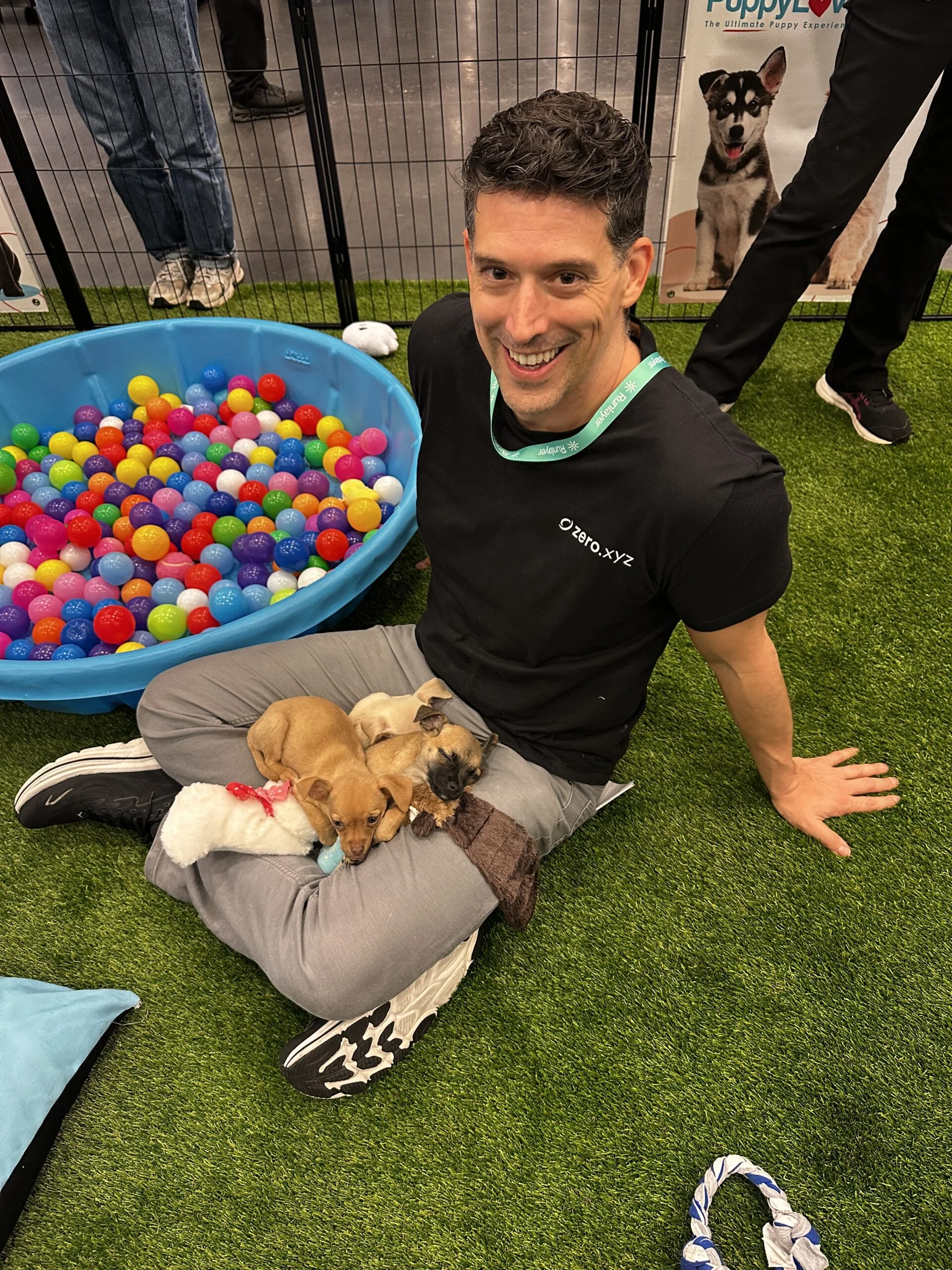 A smiling man with short dark hair wearing a black t-shirt, sitting cross-legged on green artificial turf near a colorful ball pit with three small brown puppies lying in his lap.
