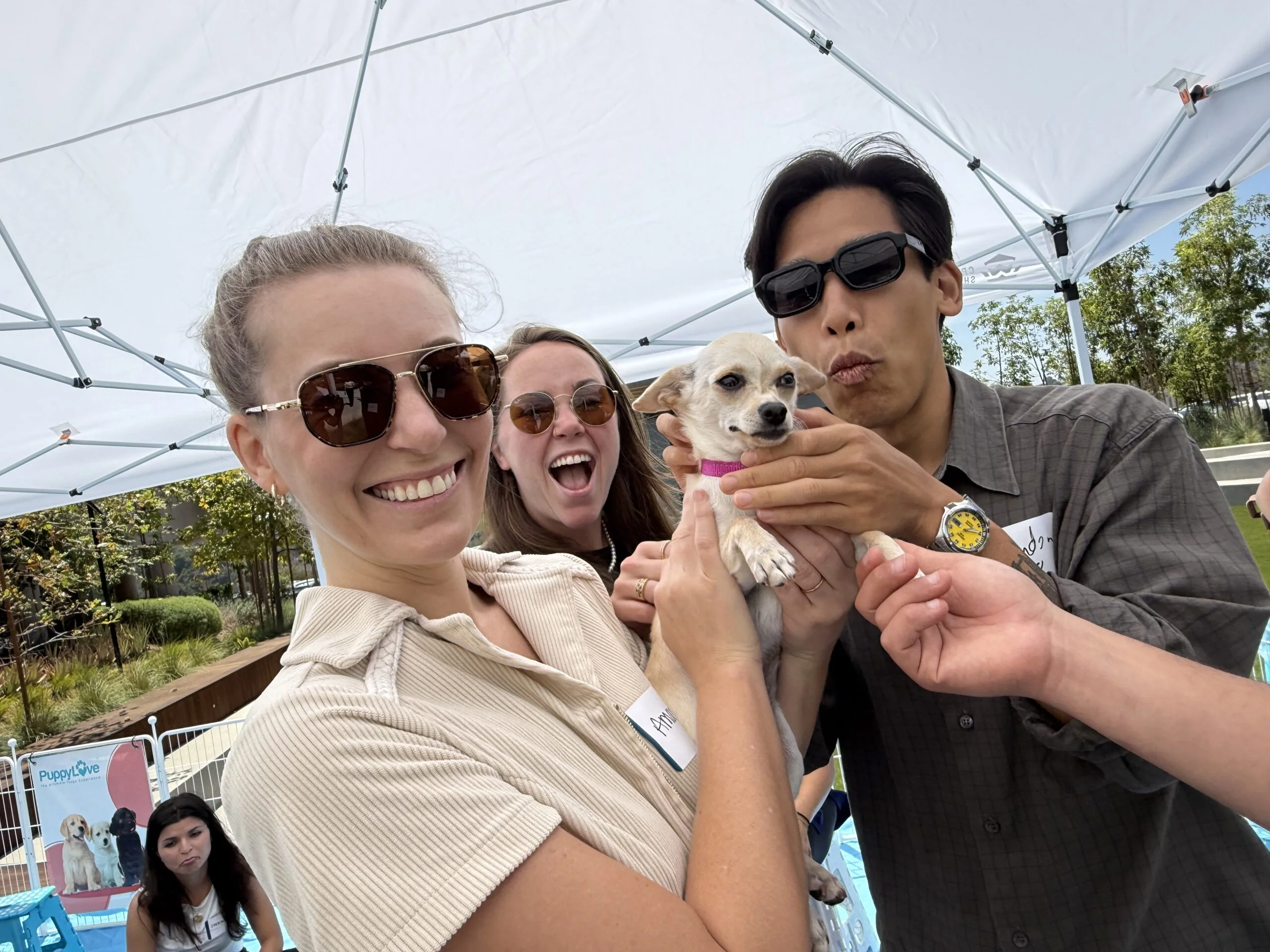 Puppy love brings healing and hope to aya healthcare’s wellness fair 2