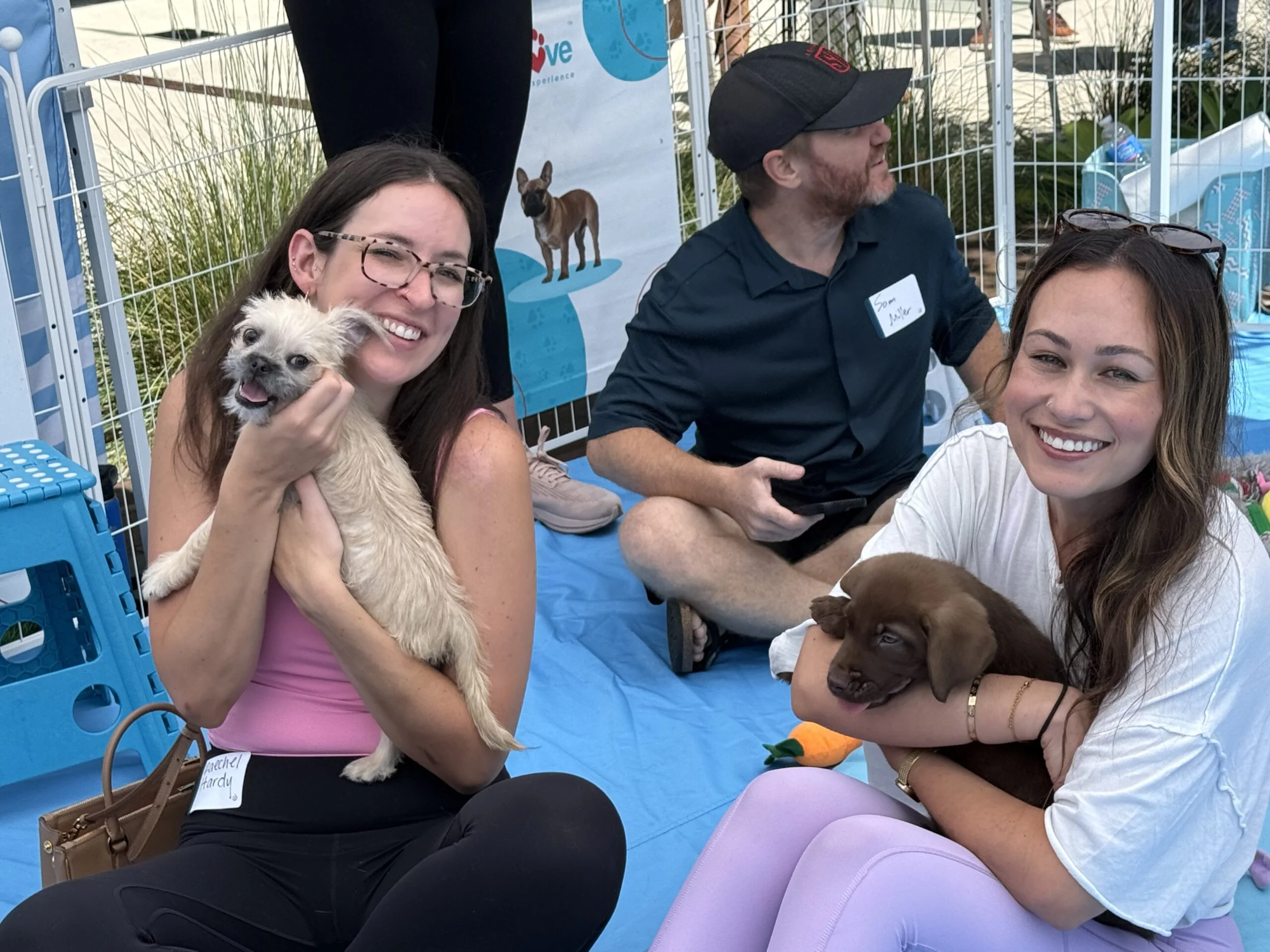 Puppy love brings healing and hope to aya healthcare’s wellness fair 3