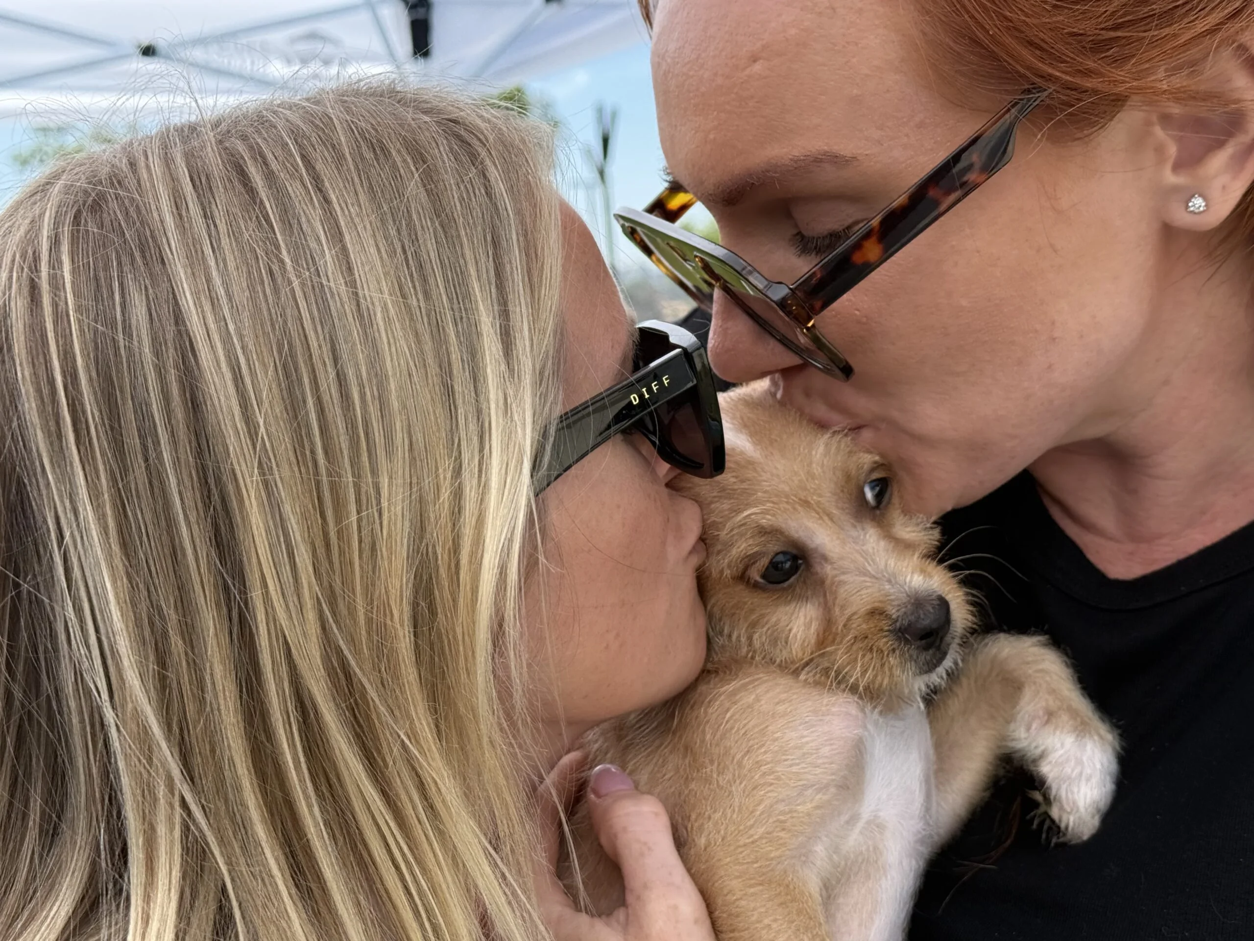 Puppy love brings healing and hope to aya healthcare’s wellness fair 4