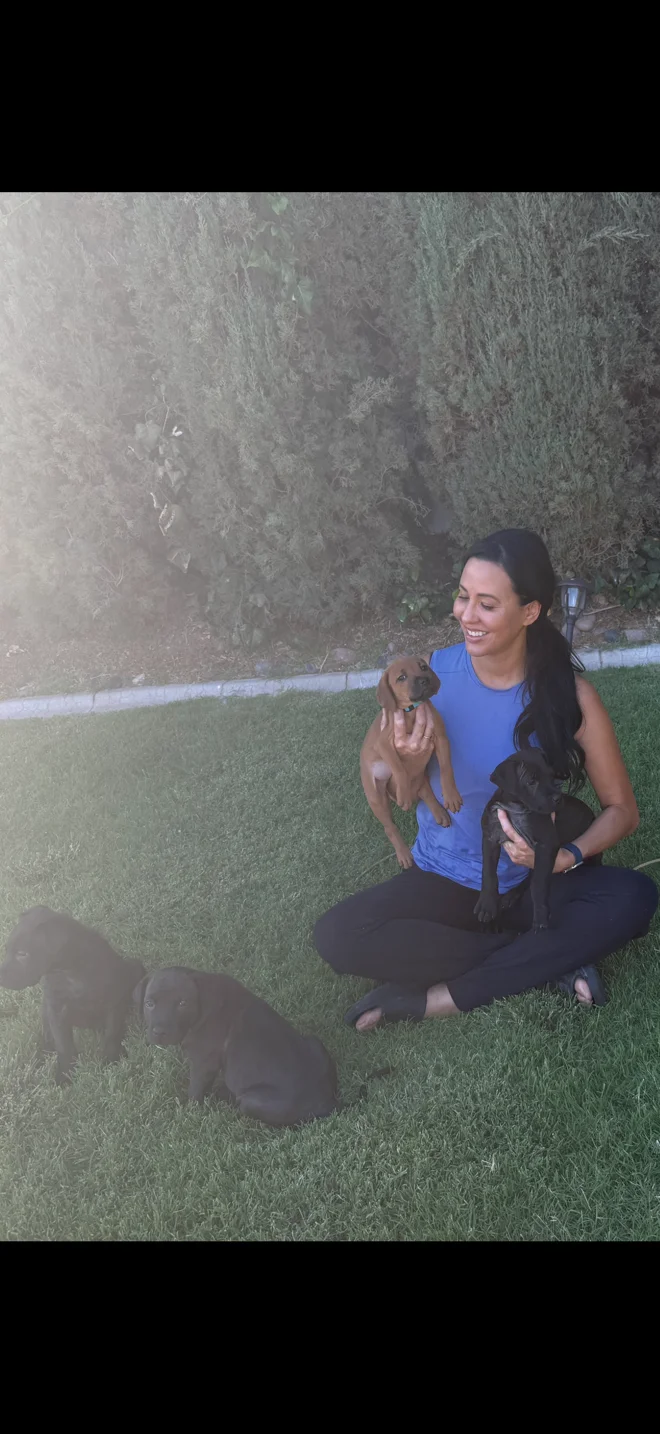 Woman named misty stanley sitting cross-legged on the grass with small puppies during a puppy love event in las vegas