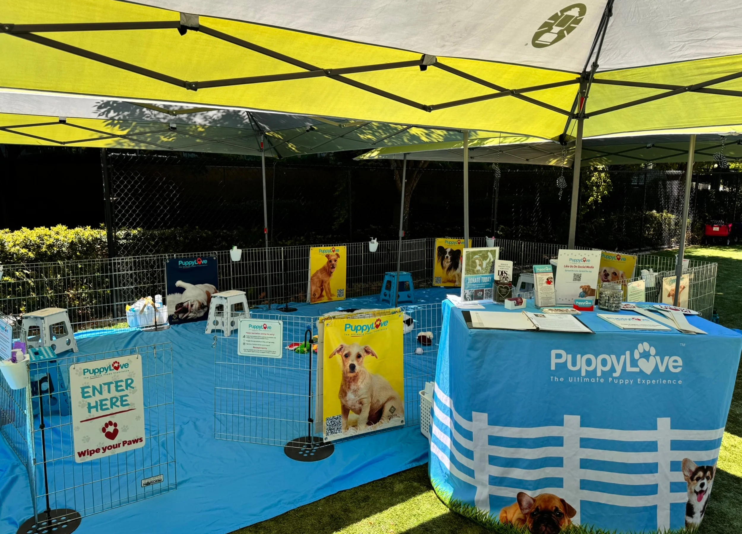Puppy-love-set-up-options-1