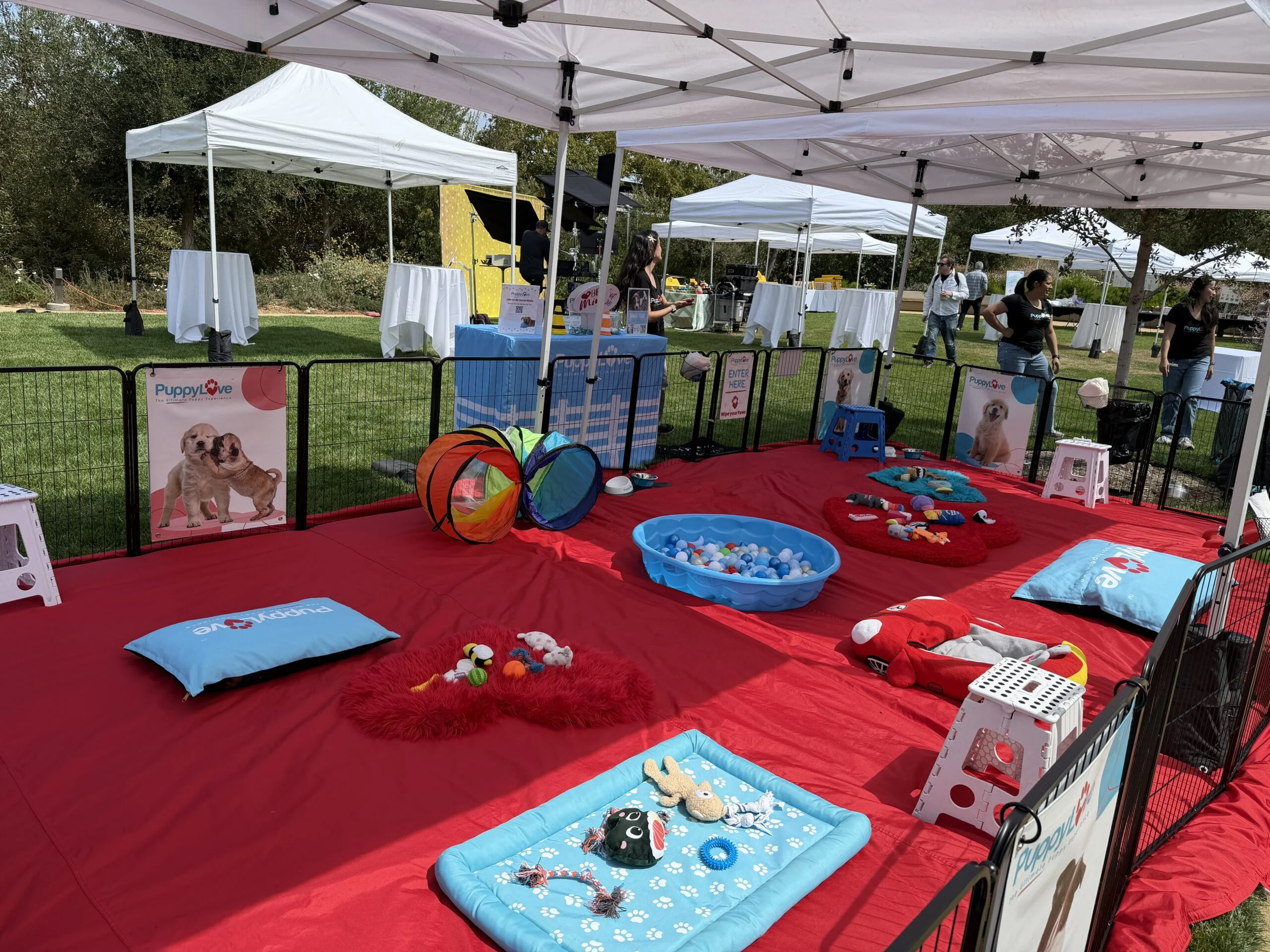 An expansive outdoor puppy play area featuring a bright red mat, small play tunnels, a ball pit, and white event tents at google san jose.