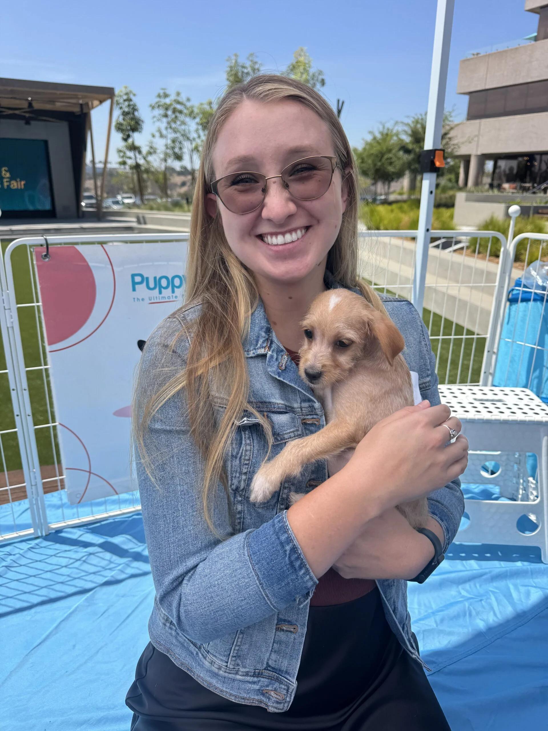 Puppy love brings healing and hope to aya healthcare’s wellness fair 7