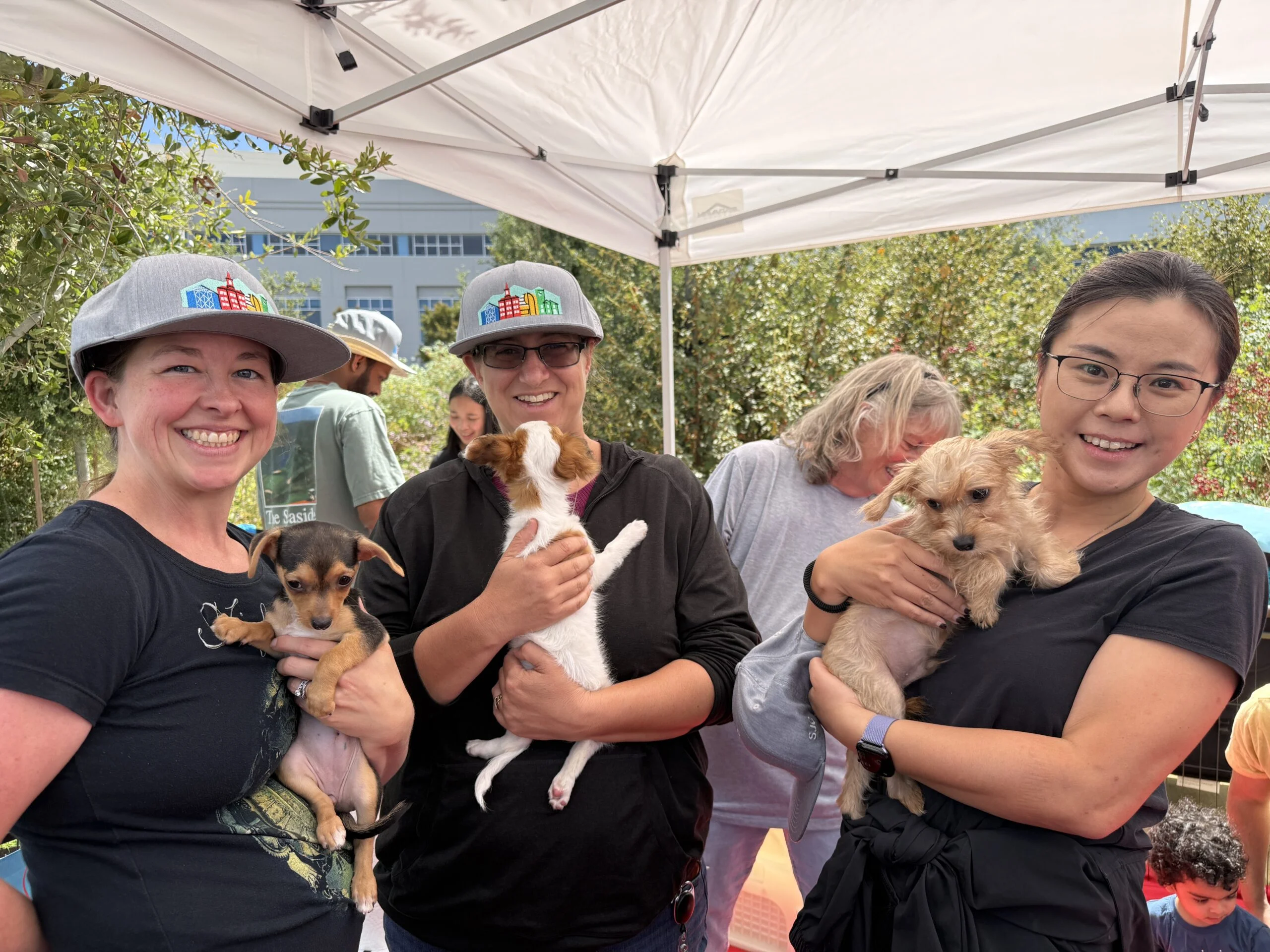 Three women smiling outdoors under a white tent while each holding a small rescue puppy at a google san jose event.