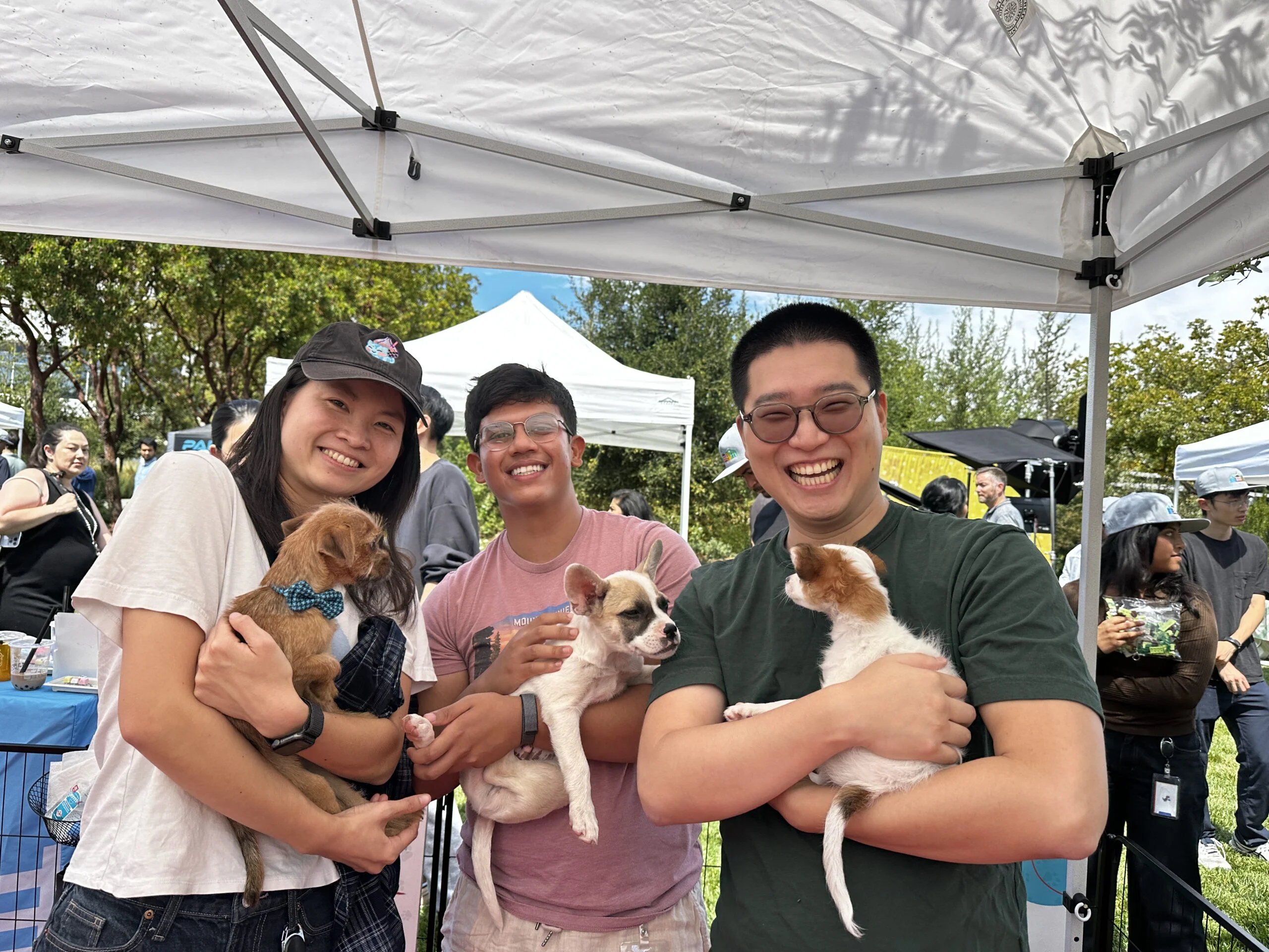 Three smiling people standing outdoors under a white tent, each holding and cuddling a small puppy in their arms.