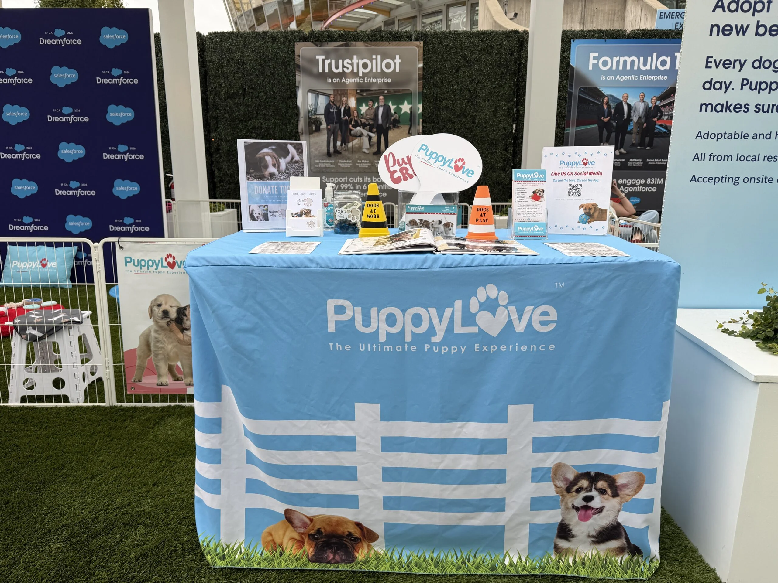 Puppy love brings joy to the final day of dreamforce 2026 6