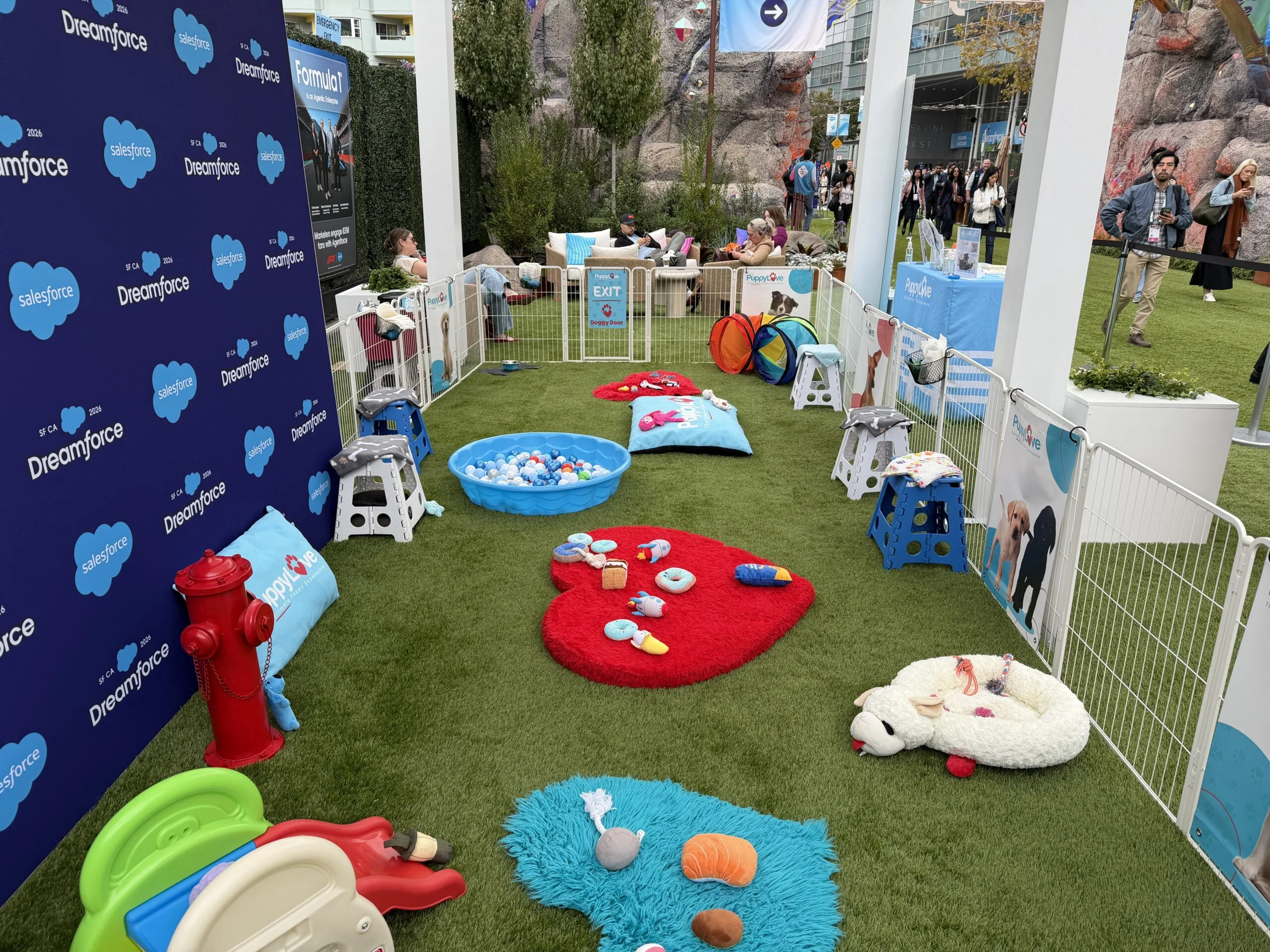 Puppy love brings joy to the final day of dreamforce 2026 2